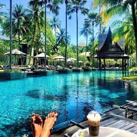 Отзыв от Светлана - Visa DTV